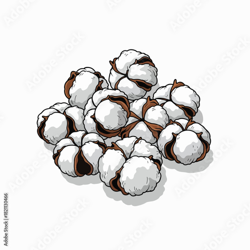 Fluffy White Cotton Bolls with Brown Seed Centers Piled Together Isolated on White Background