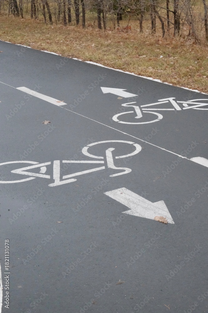 Obraz premium Bicycle Lane Road Markings with Arrows on Asphalt – Urban Cycling Path 