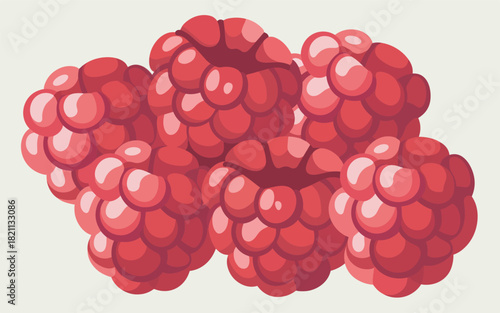 Vector illustration of ripe, juicy raspberries, a delicious berry fruit