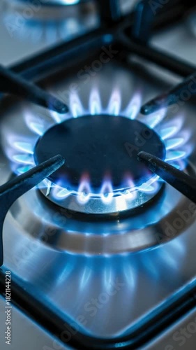 Blue flame on gas stove burner close-up, natural energy source, cooking heat, kitchen safety, domestic appliance, home utility, fire ignition