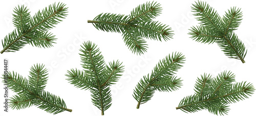 A realistic collection of isolated green fir tree branches, a natural set for creating festive winter holiday and Christmas decorations
