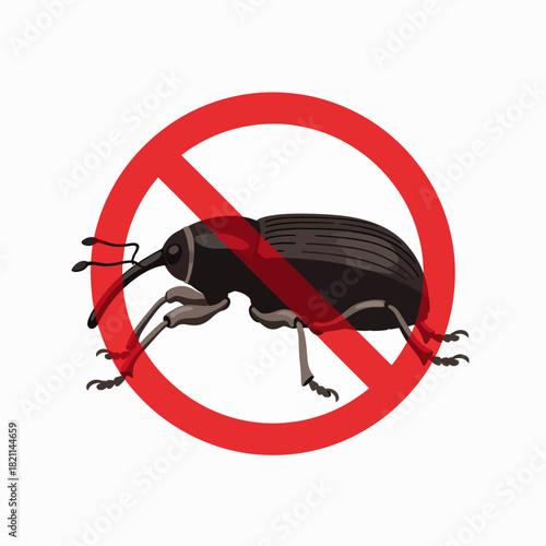 Stop Dangerous Weevil Pests Effective Control Methods for Garden and Home Protection Against These Harmful Insects