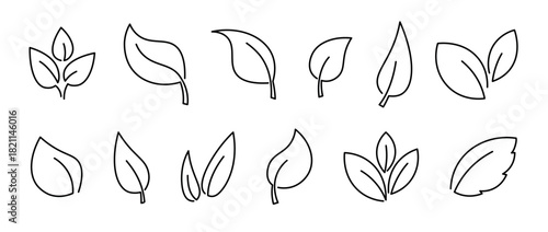 Set of line leaf icons on transparent background. Leaves icon. Leaves of trees and plants. Collection green tea leaf. Elements design for natural, eco bio, vegan labels. Vector hand drawn illustration