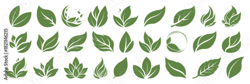 Set of green leaf icons on transparent background. Leaves of trees and plants icon. Collection green eco leaf. Ecological concept. Young green leaves various shapes. Herbal tea bio foliage environment