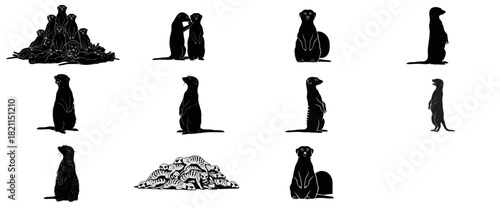 shadow sentinels dynamic meerkat silhouettes embodying alertness and social connection, isolated on transparent background