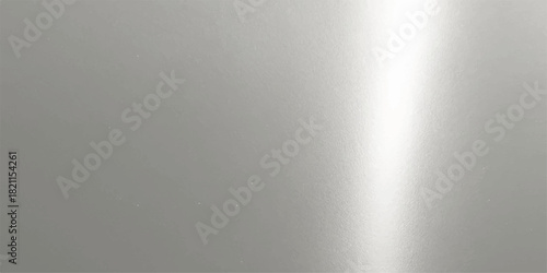 Brushed metal texture background: a polished, stainless steel plate with a silver pattern, reflecting light