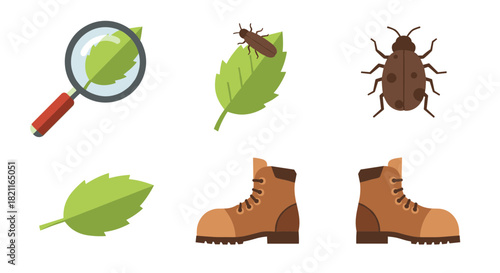 Illustration showing a magnifying glass examining a leaf, a beetle on a leaf, a beetle, a leaf, and a pair of hiking boots.