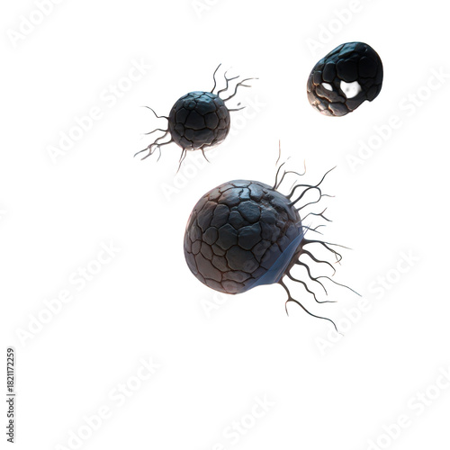 Abstract dark textured spheres with rootlike tendrils, resembling microscopic organisms or alien entities, isolated on transparent background