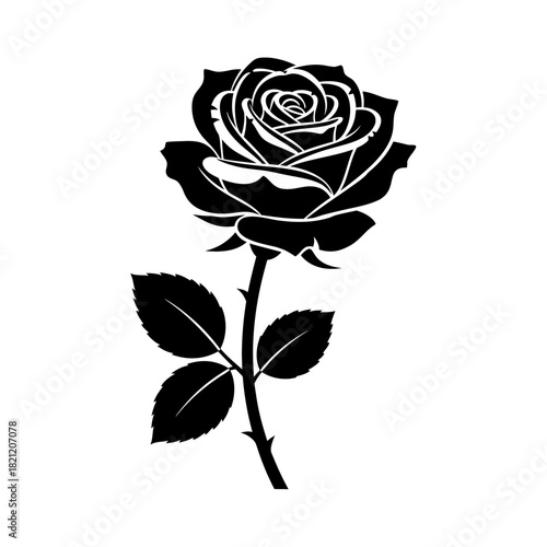 A detailed black and white illustration of a single rose with thorns and leaves, perfect for symbolic representation
