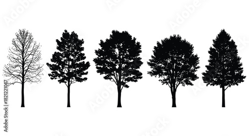 A row of five detailed tree silhouettes showcasing different species and seasonal states isolated on white background vector. isolated on white background, Vector, illustration