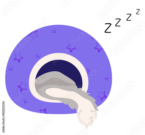 Cat sleeps in soft house, its fluffy tail hanging out. Vector isolated illustration of fabric dog house with stars and gray cat inside. Colored flat illustration of pet relaxing in cozy bed.