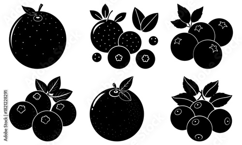 Vibrant assortment of fresh citrus and berries, ready for summer recipes and healthy eating promotions, originally from a scalable vector graphic file