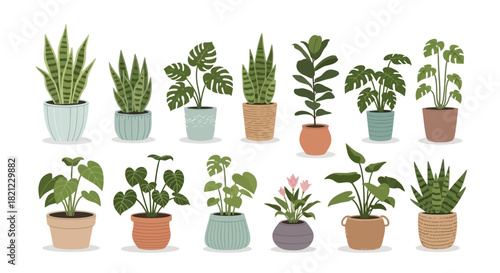 A vibrant collection of diverse potted houseplants, showcasing various indoor greenery perfect for home decoration, office spaces, and healthy living environments in a flat vector illustration style