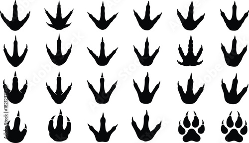 Animal Footprints and Paw Prints Icon Set Collection Repeating Pattern Vector Illustration Black Silhouettes Isolated Track Marks Wildlife Predatory Bird Reptile Mammal Traces Safari Nature Design.