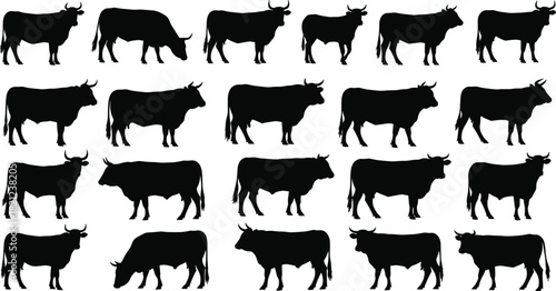 Collection of Various Cow and Bull Silhouette Icons, Cattle Poses, Domestic Farm Animals, Livestock, Beef, Dairy, and Agricultural Symbols, Meat Products Vector Illustrations Set.