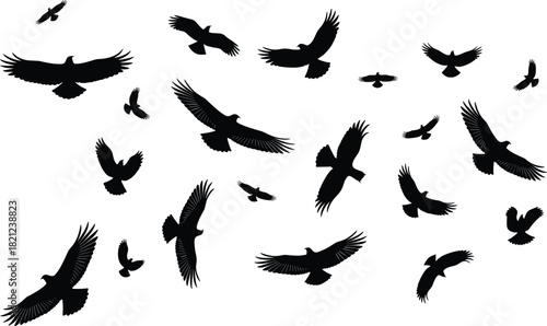 Flocks of Flying Eagles Vector Silhouette Set, Majestic Birds of Prey Collection in Various Poses, Freedom and Wilderness Concept Graphic Design Element Illustration.