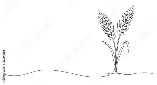 Minimalist single line drawing of two wheat stalks with leaves emerging from a wavy ground line on a white background