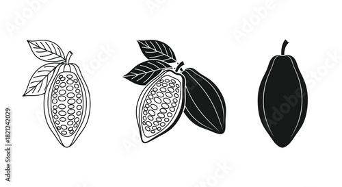 Three stylized illustrations of cocoa pods one in outline one in silhouette and one halved revealing beans