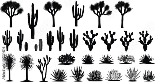 Desert plant silhouettes, cactus and succulent vector icons, black botanical shapes, agave, yucca, prickly pear, desert flora illustration, nature design elements