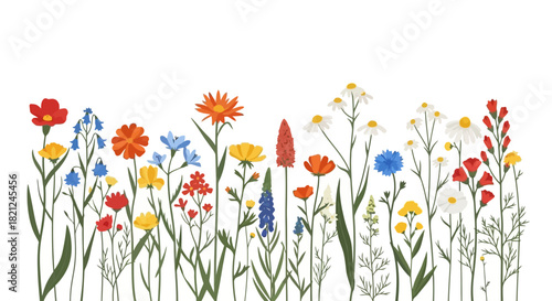 Colorful Field of Wildflowers A Vibrant Illustration of Blossoming Flora and Botanical Beauty