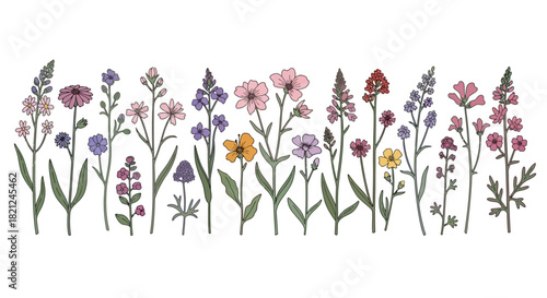 A charming hand-drawn botanical illustration featuring a horizontal arrangement of diverse wildflowers in various colors, capturing the essence of a vibrant spring meadow