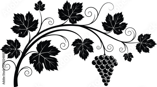 Decorative black silhouette vector illustration of a grapevine branch with lush leaves, swirling tendrils, and a bunch of grapes, isolated on white background