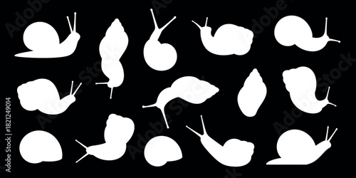 Grape snail silhouette. Isolated grape snail on white background