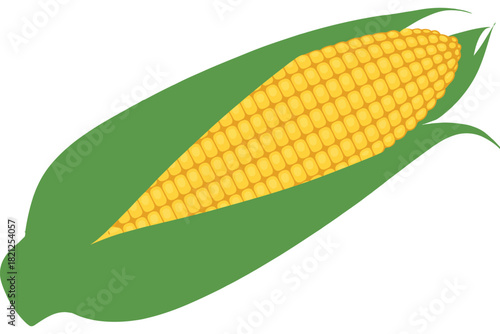 A ripe ear of corn is depicted with its husk partially peeled back
