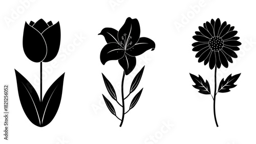 Elegant Flower Silhouette Set: Hand Drawn Lily, Tulip, and Daisy Botanical Black Collection