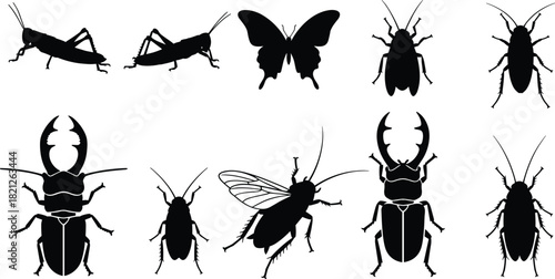 Insect silhouettes, grasshopper, butterfly, cockroach, stag beetle, fly, black vector icons, entomology, isolated bugs, white background, educational graphic