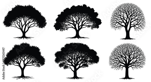 Six detailed black tree silhouettes with varied foliage and bare winter branches, isolated vector icons for logo or design. isolated on white background, Vector, illustration