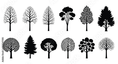 Set of diverse tree silhouettes and icons, including deciduous, evergreen, and bare branches. vector illustration graphics isolated on white background, Vector, illustration