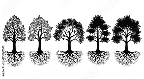 Adobe Illustrator Artwork