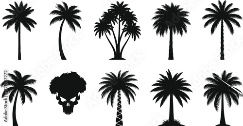 Set of black palm tree silhouettes, tropical nature icons including one skull shaped tree, vector illustration collection for summer design, isolated on white background.