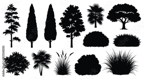 Diverse vector silhouettes set of trees, bushes, shrubs, palms, and grasses for landscape design graphics isolated on white background, Vector, illustration