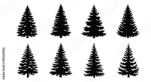 Eight different black silhouettes of evergreen pine and spruce trees collection set isolated on a white background for forest design elements isolated on white background, Vector, illustration