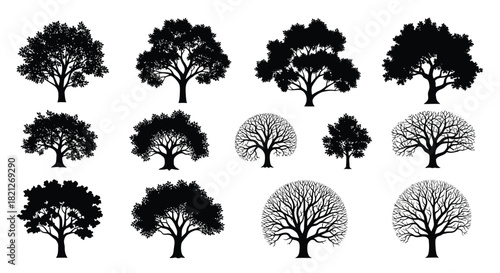 Set of twelve different tree silhouettes showing leafy summer foliage and bare winter branches isolated vector icons graphic elements. isolated on white background, Vector, illustration