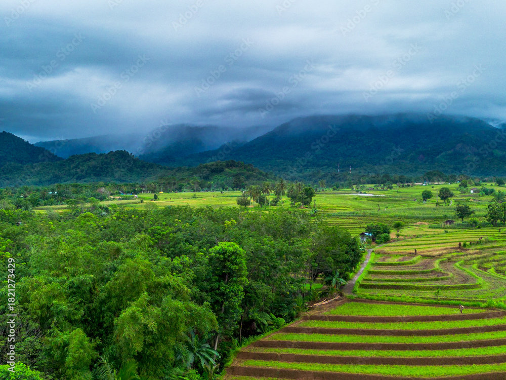 Fototapeta premium Beautiful morning view indonesia Panorama Landscape paddy fields with beauty color and sky natural light