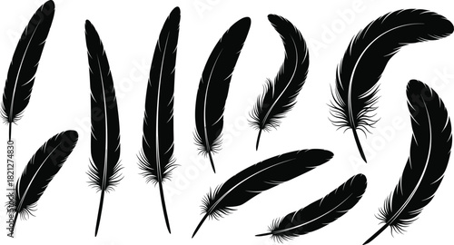 Set of various bird feather silhouettes, black vector illustration collection isolated on white background, for boho style design, tribal art, and decorative elements.