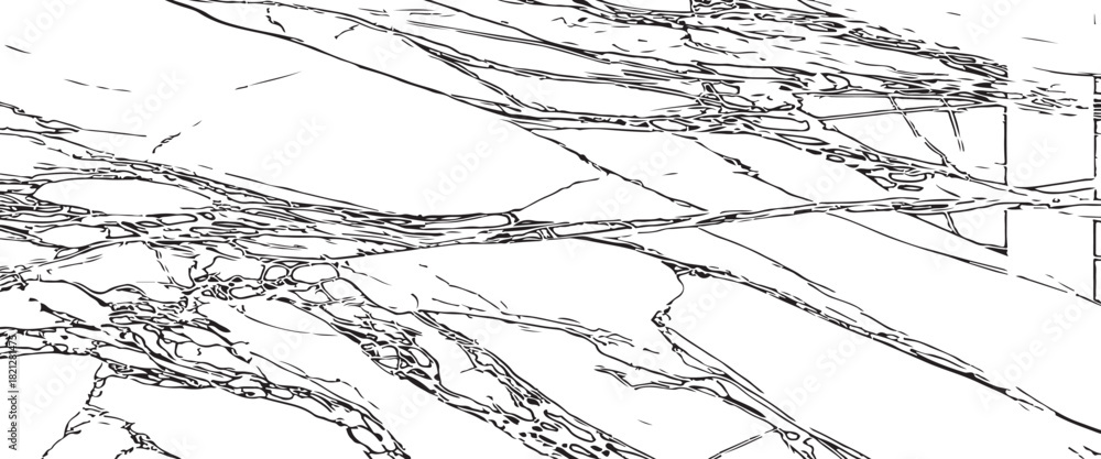 Fototapeta premium black and white abstract Cracked Surface grunge and distressed Texture for Creative splatters textured background.