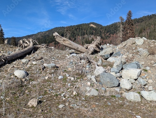Slika na platnu Catastrophic debris flow in Shovi, Racha region, Georgia