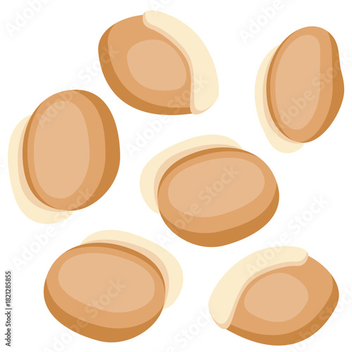 Hyacinth bean, dolichos seeds vector.