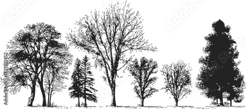 Tree silhouettes hand drawn sketch set of various deciduous and coniferous trees. Vector illustration
