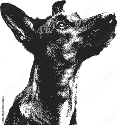 Dog sketch hand drawn portrait looking up, detailed black and white line art. Vector illustration