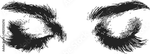Closed eyes sketch, hand drawn vector with detailed eyelashes and eyebrows. Vector illustration