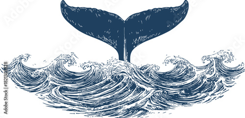 Whale tail sketch hand drawn above ocean waves, detailed marine scene. Vector illustration