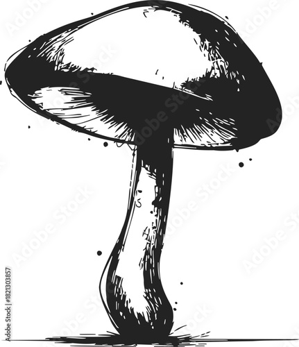 Mushroom sketch hand drawn black and white illustration with detailed cap and stem. Vector illustration