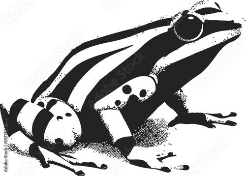 Frog sketch hand drawn black and white with bold stripes and spots. Vector illustration