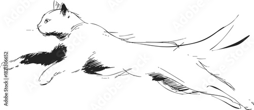 Cat sketch hand drawn leaping with extended body and dynamic motion. Vector illustration