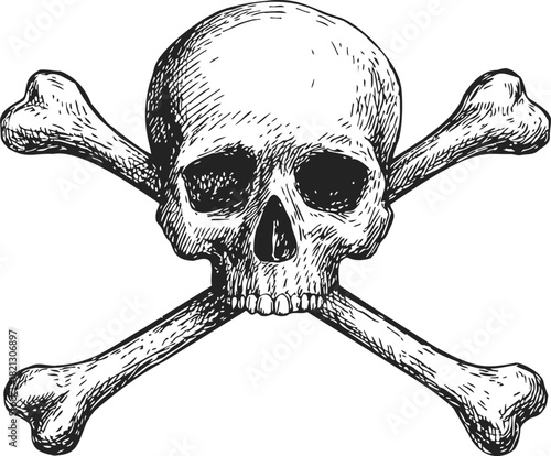 Skull and crossbones sketch, hand drawn vector, classic pirate hazard symbol with detailed shading. Vector illustration